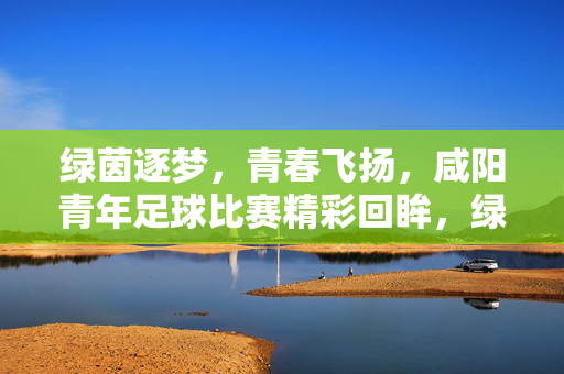 绿茵逐梦，青春飞扬，咸阳青年足球比赛精彩回眸，绿茵逐梦，青春飞扬，咸阳青年足球比赛精彩回眸