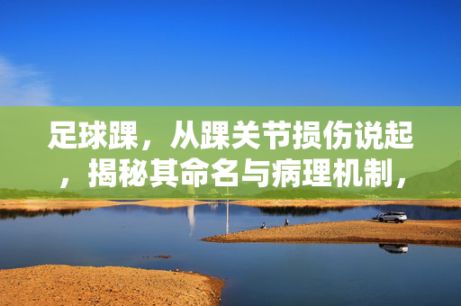 足球踝，从踝关节损伤说起，揭秘其命名与病理机制，足球踝，从踝关节损伤说起，揭秘其命名与病理机制
