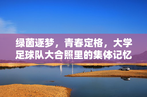 绿茵逐梦，青春定格，大学足球队大合照里的集体记忆，绿茵逐梦，青春定格，大学足球队大合照里的集体记忆