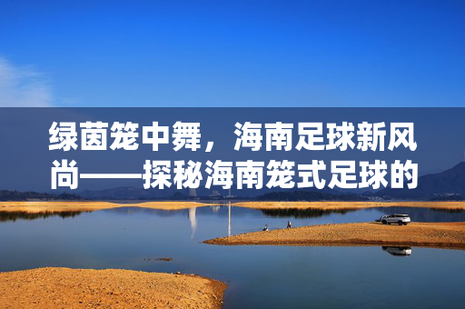 绿茵笼中舞，海南足球新风尚——探秘海南笼式足球的火热魅力与城市活力注入，绿茵笼中舞，海南足球新风尚——探秘海南笼式足球的火热魅力与城市活力注入
