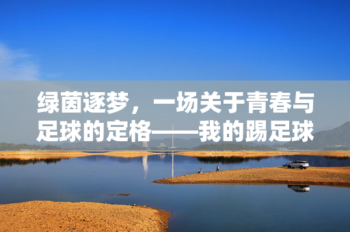 绿茵逐梦，一场关于青春与足球的定格——我的踢足球照片作品分享，绿茵逐梦，一场关于青春与足球的定格——我的踢足球照片作品分享