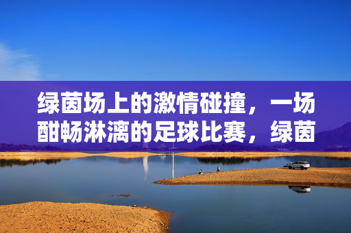 绿茵场上的激情碰撞，一场酣畅淋漓的足球比赛，绿茵场上的激情碰撞，一场酣畅淋漓的足球比赛