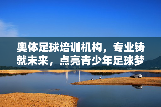 奥体足球培训机构，专业铸就未来，点亮青少年足球梦想，奥体足球培训机构，专业铸就未来，点亮青少年足球梦想