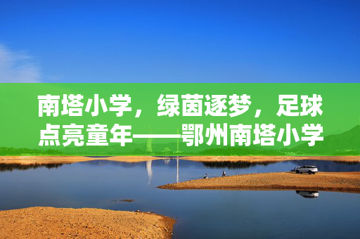 南塔小学，绿茵逐梦，足球点亮童年——鄂州南塔小学校园足球发展纪实，南塔小学，绿茵逐梦，足球点亮童年——鄂州南塔小学校园足球发展纪实