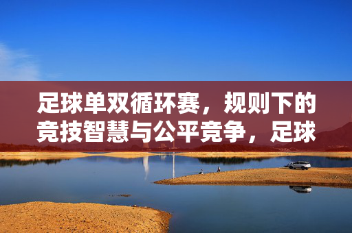 足球单双循环赛,规则下的竞技智慧与公平竞争,足球单双循环赛,规则下的竞技智慧与公平竞争