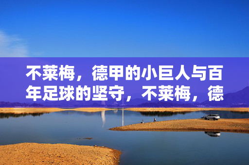 不莱梅，德甲的小巨人与百年足球的坚守，不莱梅，德甲的小巨人与百年足球的坚守