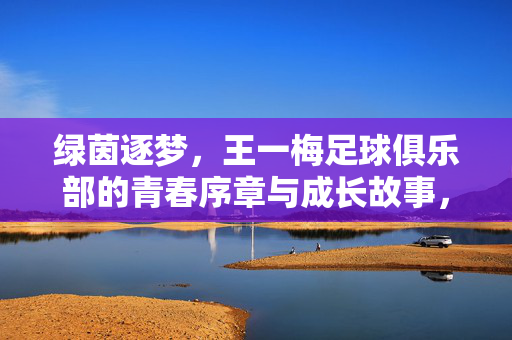 绿茵逐梦，王一梅足球俱乐部的青春序章与成长故事，绿茵逐梦，王一梅足球俱乐部的青春序章与成长故事
