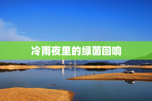 冷雨夜里的绿茵回响