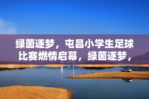 绿茵逐梦，屯昌小学生足球比赛燃情启幕，绿茵逐梦，屯昌小学生足球比赛燃情启幕