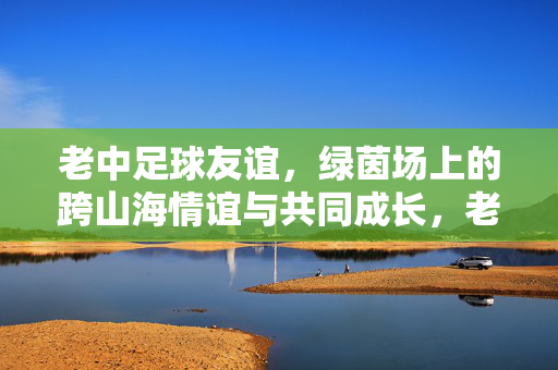 老中足球友谊，绿茵场上的跨山海情谊与共同成长，老中足球友谊，绿茵场上的跨山海情谊与共同成长