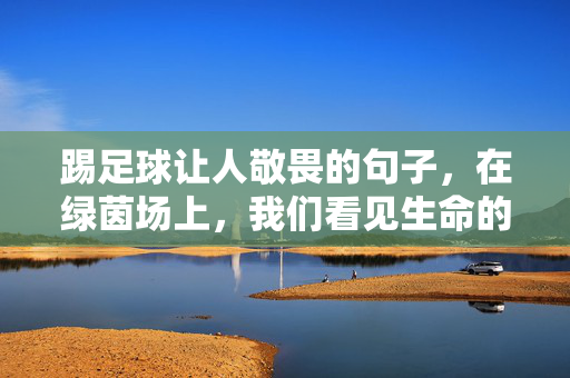 踢足球让人敬畏的句子,在绿茵场上,我们看见生命的重量与精神的共鸣,绿茵场上的敬畏,足球里的生命重量与精神共鸣