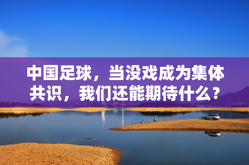 中国足球，当没戏成为集体共识，我们还能期待什么？中国足球，当没戏成为集体共识，我们还能期待什么？