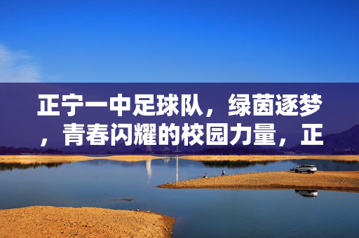 正宁一中足球队，绿茵逐梦，青春闪耀的校园力量，正宁一中足球队，绿茵逐梦，青春闪耀的校园力量