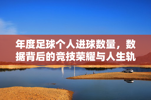 年度足球个人进球数量，数据背后的竞技荣耀与人生轨迹