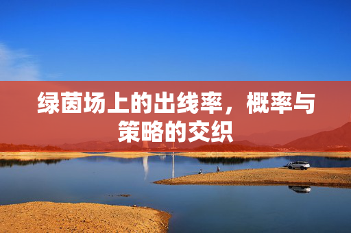 绿茵场上的出线率，概率与策略的交织