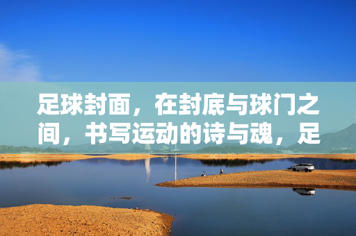 足球封面，在封底与球门之间，书写运动的诗与魂，足球封面，在封底与球门之间，书写运动的诗与魂