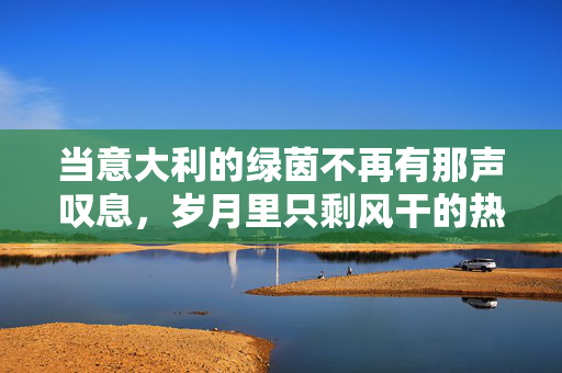 当意大利的绿茵不再有那声叹息，岁月里只剩风干的热泪——意大利足球的伤感注脚