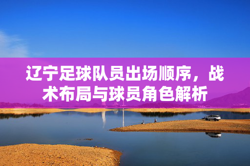辽宁足球队员出场顺序，战术布局与球员角色解析