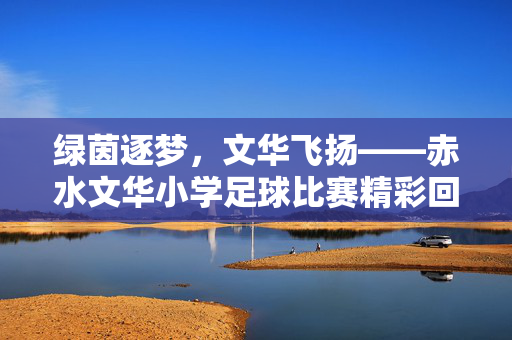 绿茵逐梦，文华飞扬——赤水文华小学足球比赛精彩回顾