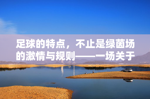 足球的特点，不止是绿茵场的激情与规则——一场关于这项运动本质的深度解析，足球的特点，不止是绿茵场的激情与规则——一场关于这项运动本质的深度解析