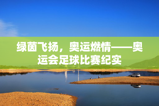 绿茵飞扬，奥运燃情——奥运会足球比赛纪实