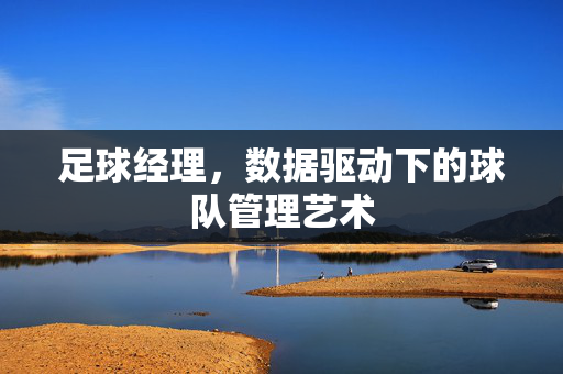 足球经理，数据驱动下的球队管理艺术