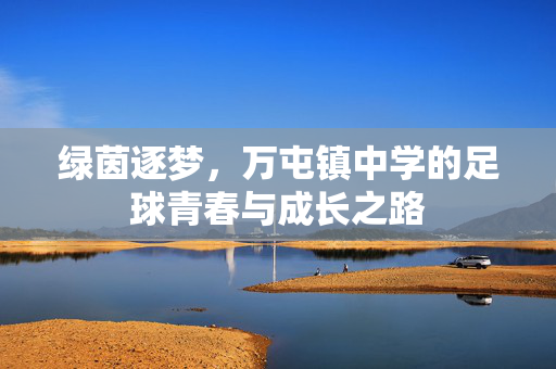 绿茵逐梦，万屯镇中学的足球青春与成长之路