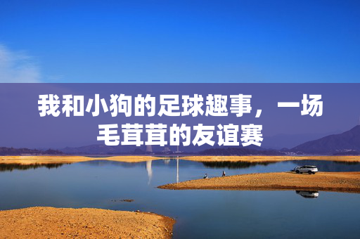 我和小狗的足球趣事，一场毛茸茸的友谊赛