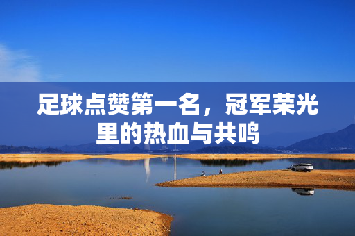 足球点赞第一名，冠军荣光里的热血与共鸣