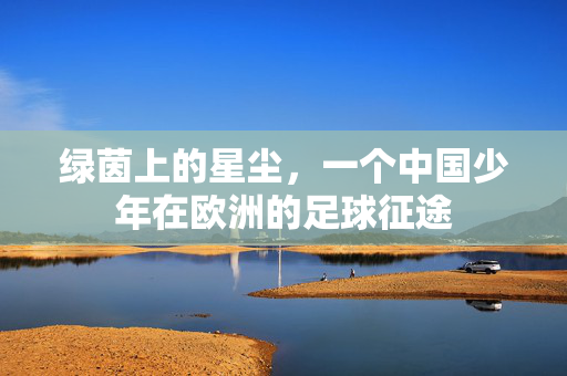 绿茵上的星尘，一个中国少年在欧洲的足球征途