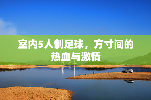 室内5人制足球，方寸间的热血与激情