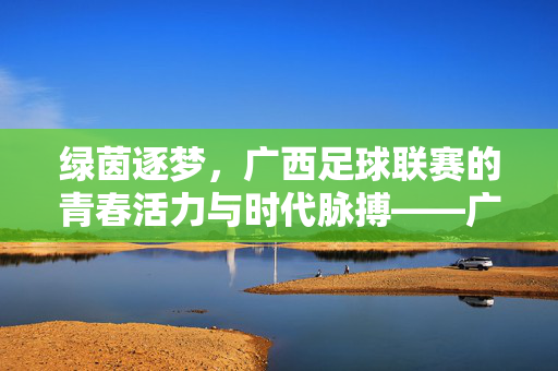 绿茵逐梦，广西足球联赛的青春活力与时代脉搏——广西足球联赛发展纪实