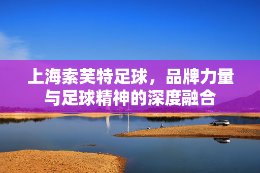 上海索芙特足球,品牌力量与足球精神的深度融合