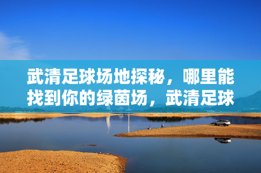 武清足球场地探秘，哪里能找到你的绿茵场，武清足球场地探秘，哪里能找到你的绿茵场