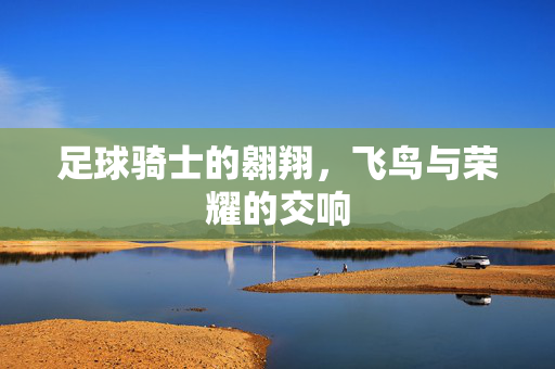 足球骑士的翱翔，飞鸟与荣耀的交响