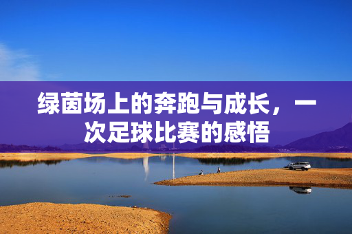 绿茵场上的奔跑与成长，一次足球比赛的感悟