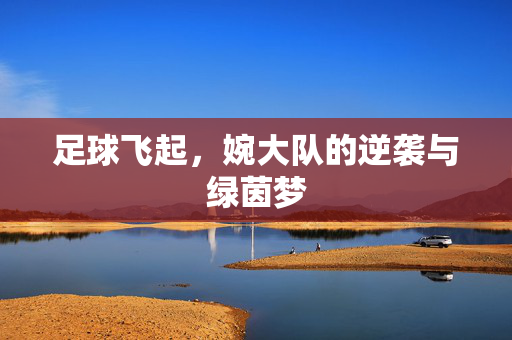 足球飞起，婉大队的逆袭与绿茵梦