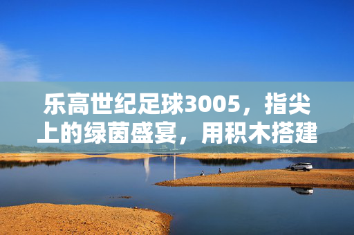 乐高世纪足球3005，指尖上的绿茵盛宴，用积木搭建属于自己的足球传奇，乐高世纪足球3005，指尖上的绿茵盛宴，用积木搭建属于自己的足球传奇