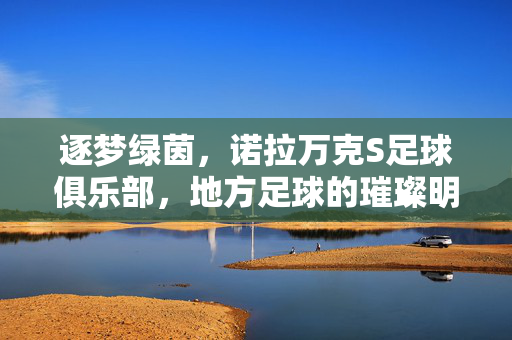 逐梦绿茵，诺拉万克S足球俱乐部，地方足球的璀璨明珠与社区精神传承