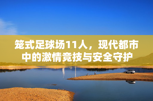 笼式足球场11人，现代都市中的激情竞技与安全守护