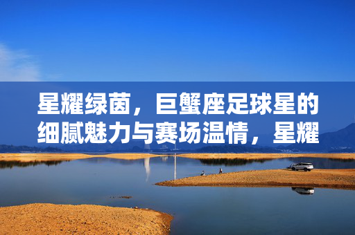 星耀绿茵，巨蟹座足球星的细腻魅力与赛场温情，星耀绿茵，巨蟹座足球星的细腻魅力与赛场温情