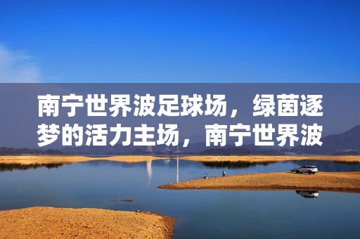 南宁世界波足球场，绿茵逐梦的活力主场，南宁世界波足球场，绿茵逐梦的活力主场