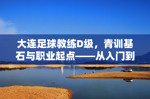 大连足球教练D级，青训基石与职业起点——从入门到成长的阶梯之路，大连足球教练D级，青训基石与职业起点——从入门到成长的阶梯之路