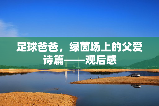 足球爸爸，绿茵场上的父爱诗篇——观后感