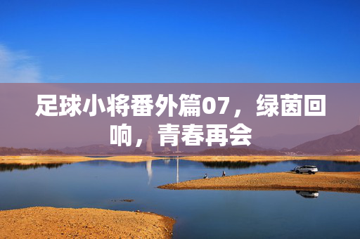 足球小将番外篇07，绿茵回响，青春再会