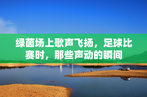 绿茵场上歌声飞扬，足球比赛时，那些声动的瞬间