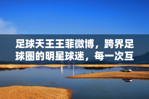 足球天王王菲微博，跨界足球圈的明星球迷，每一次互动都引爆话题热度