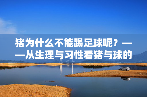 猪为什么不能踢足球呢？——从生理与习性看猪与球的错位