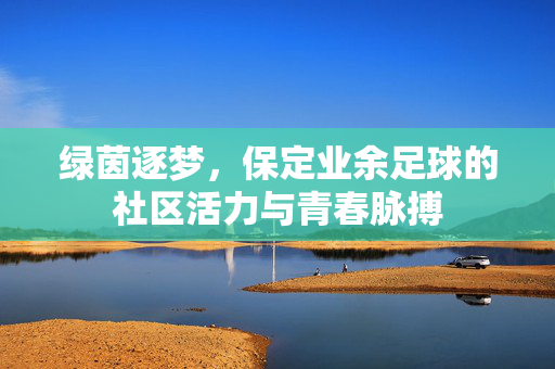 绿茵逐梦，保定业余足球的社区活力与青春脉搏