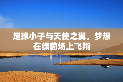 足球小子与天使之翼，梦想在绿茵场上飞翔
